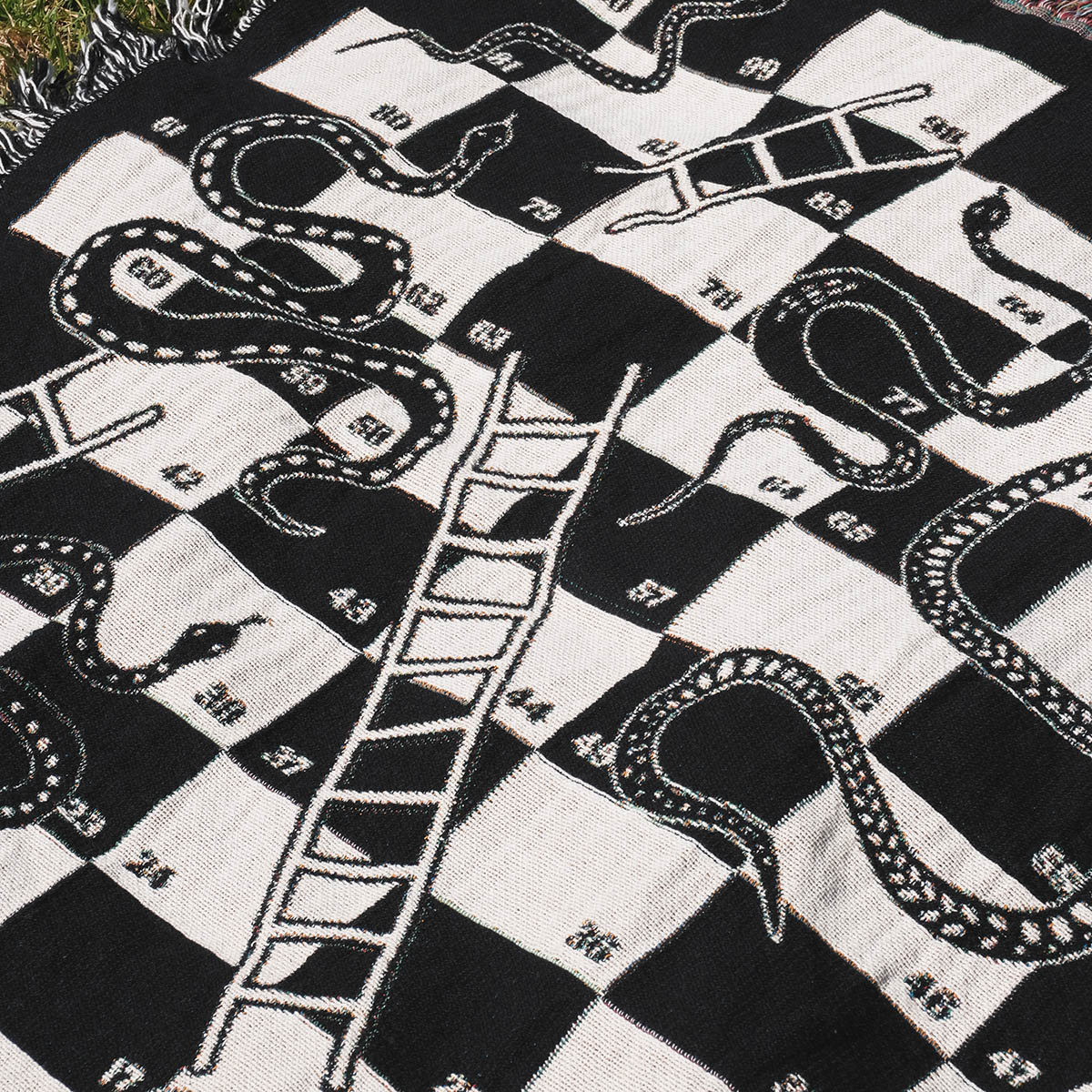 Snake and Ladder Woven Throw Blanket